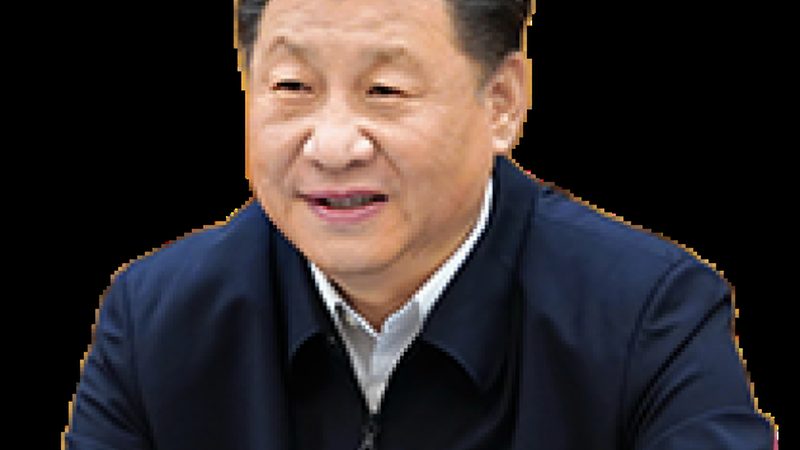 食品级增稠剂：2025年十大品牌解析